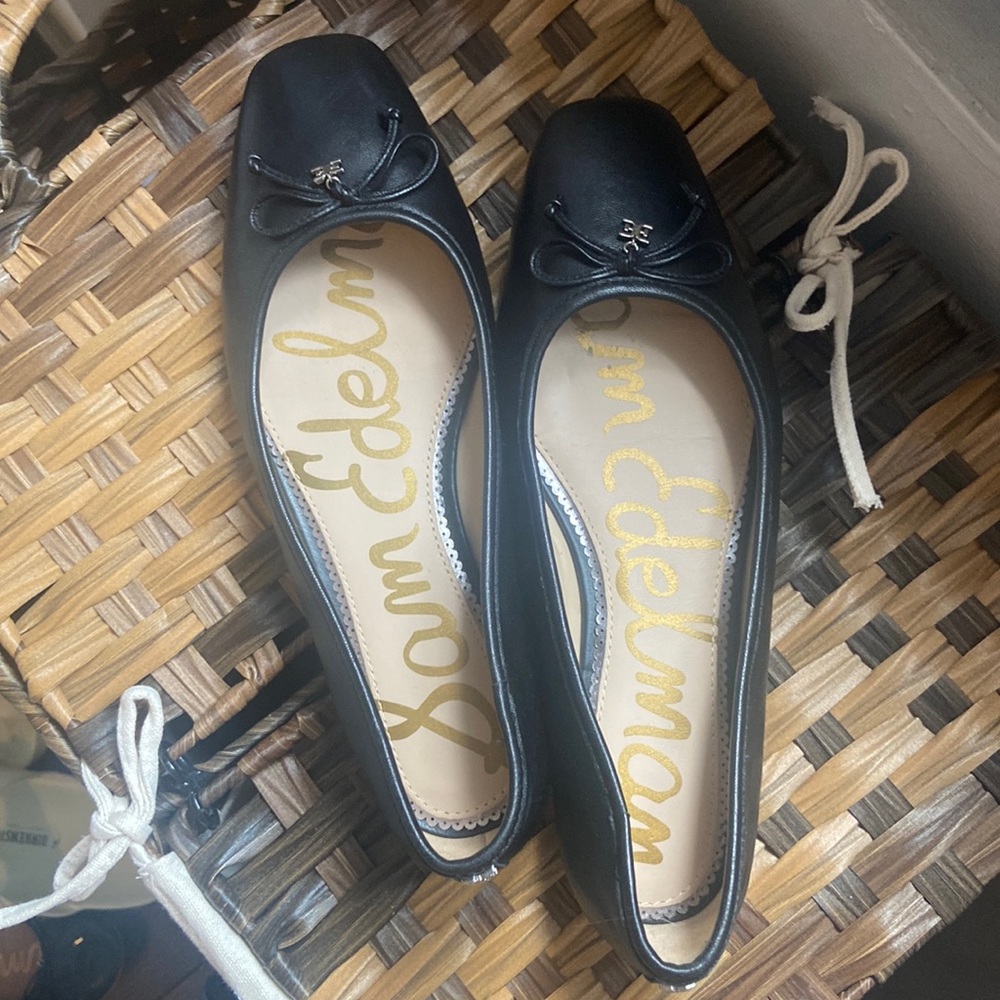 Sam Edelman Julie Ballet Flats - EUC